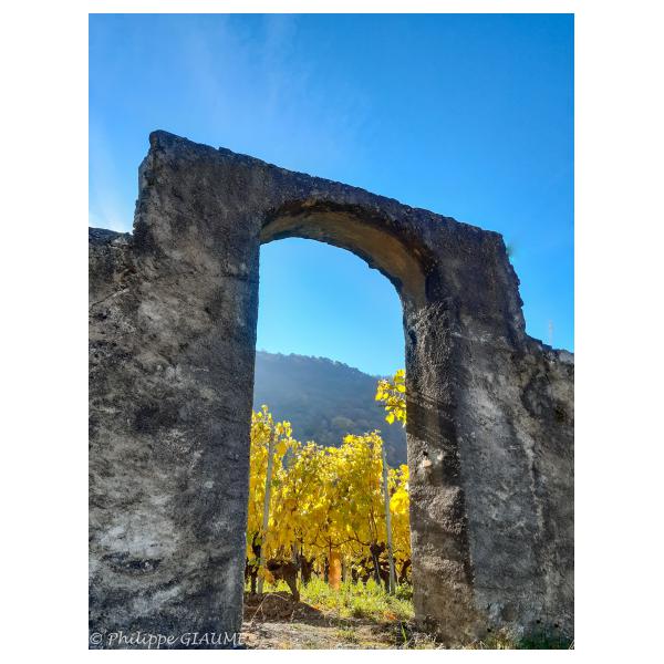 PHOTO84, CLUB, 84 , LUBERON